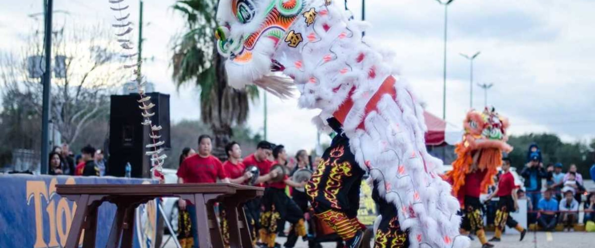 The Vibrant History of Festivals in Harris County, TX